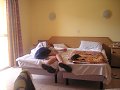thn00113.jpg